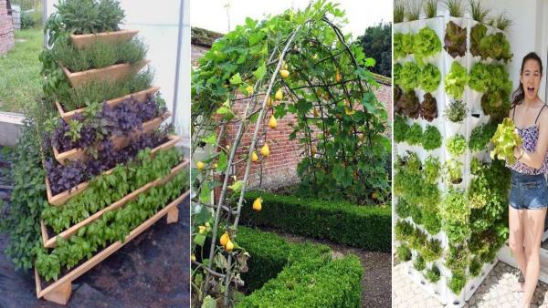 46 Amazing Ideas For Growing A Vegetable Garden In Your Backyard | garden ideas